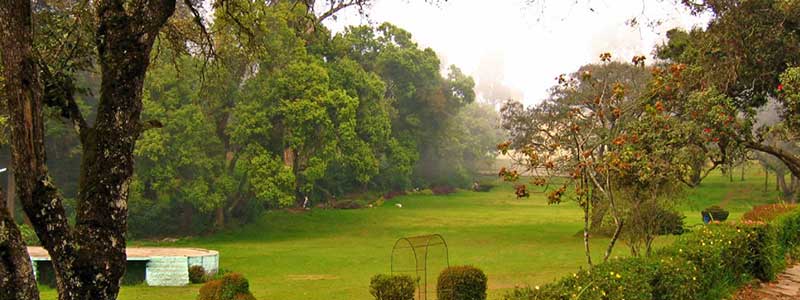 Bryant Park, Kodaikanal Tourist Attraction