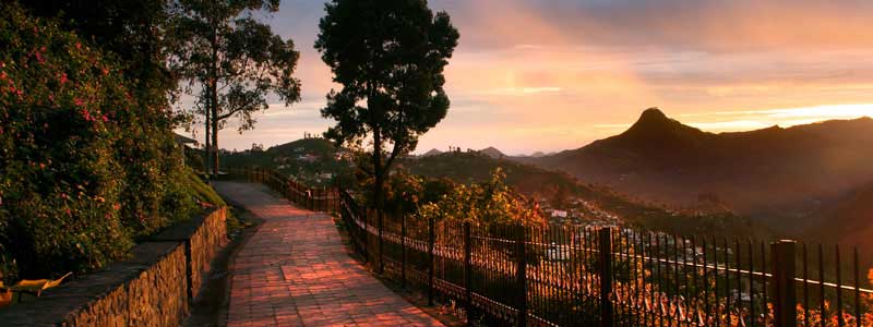 Coakers Walk, Kodaikanal