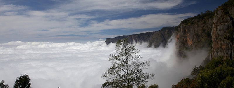 Pillar Rocks Kodaikanal