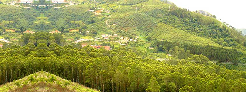 Vembadi Peak, Kodaikanal Tourist Attraction