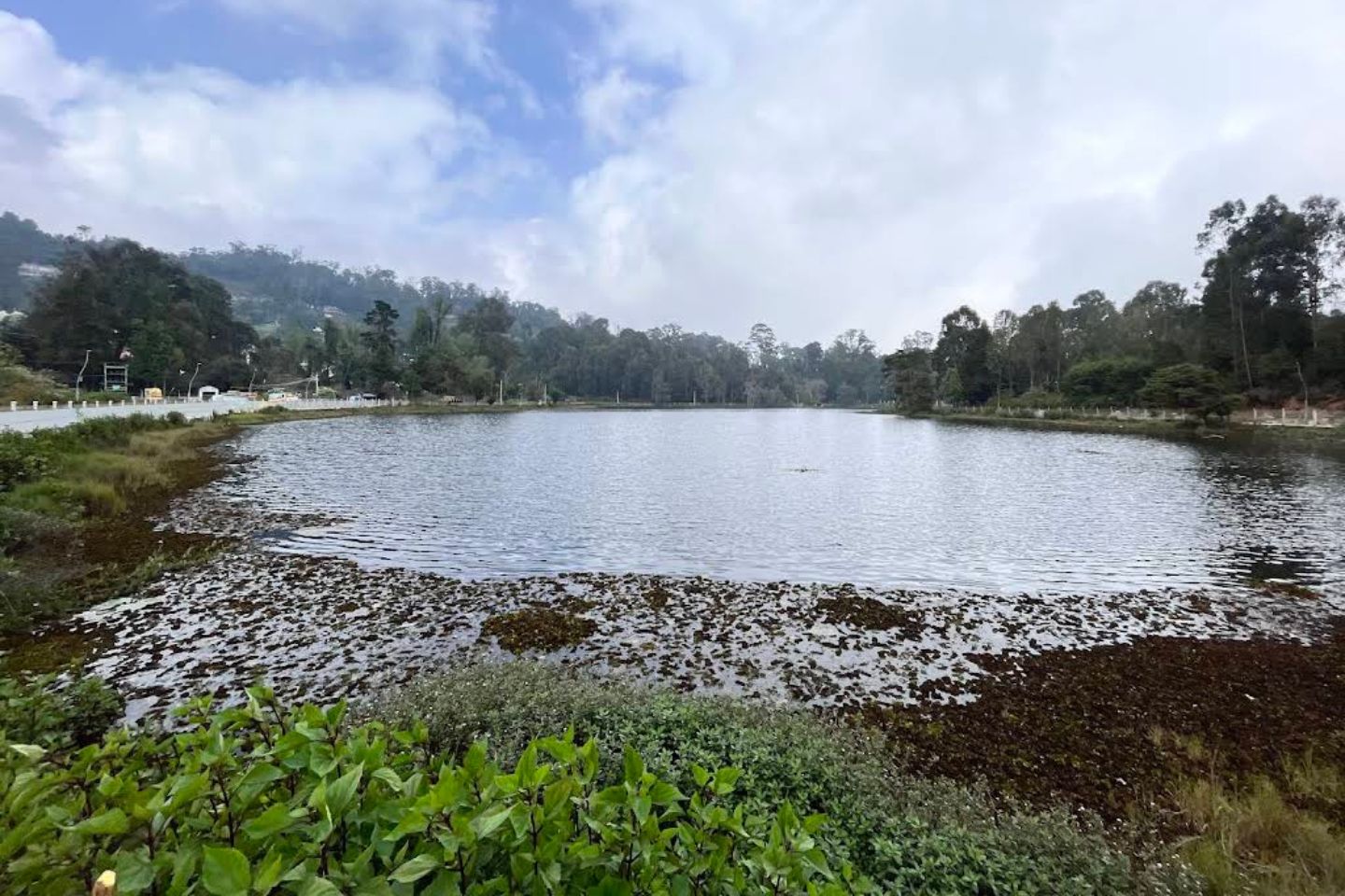 Exotic Kodaikanal Honeymoon Special 3N/4D 34KK03