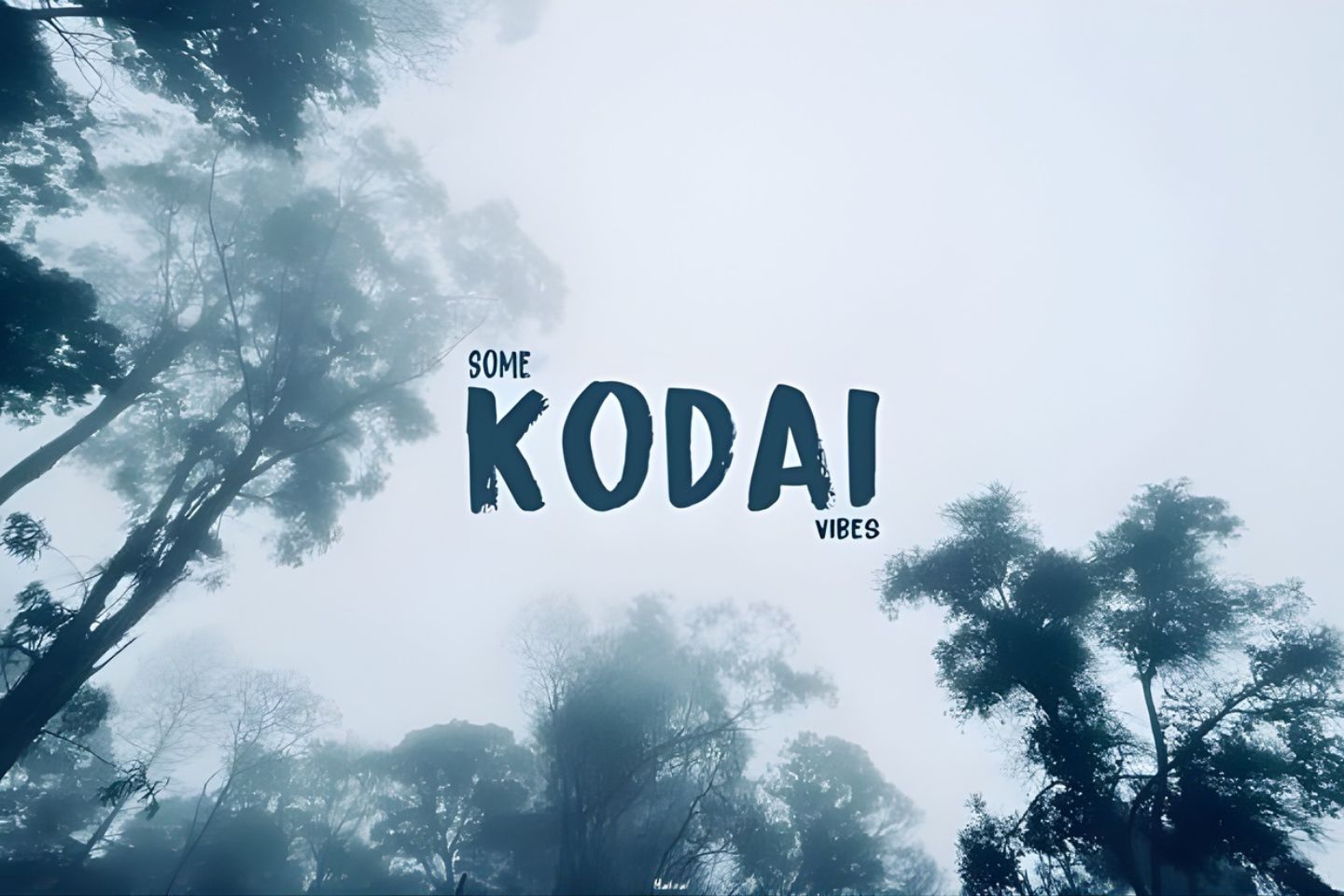 2 Days Kodaikanal (Top Places to visit in Kodaikanal in Two Days)