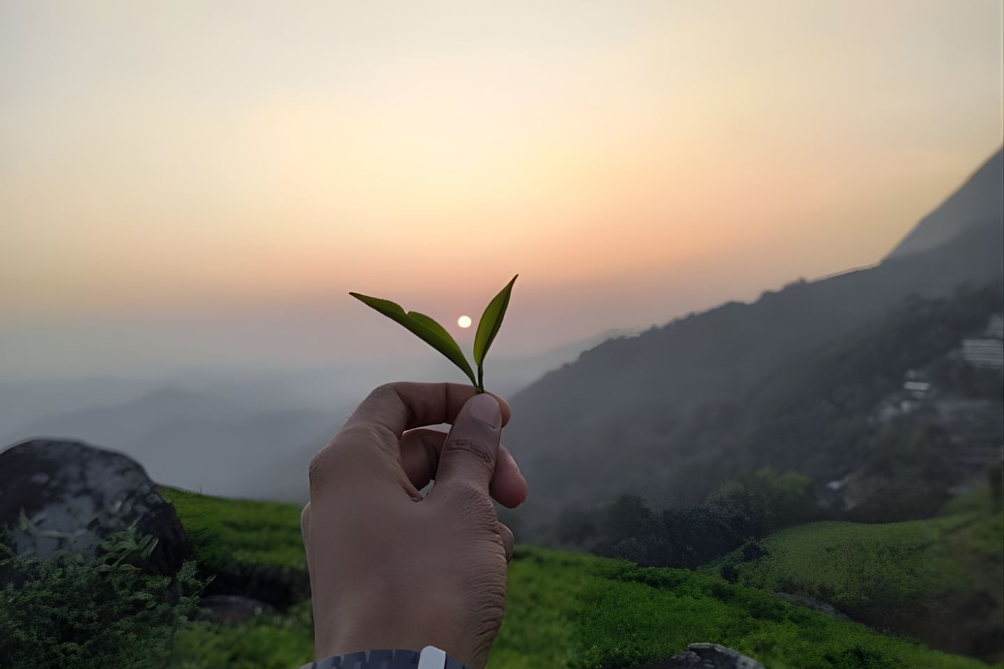 Chennai to Kodaikanal, Distance Route Map from Chennai to Kodaikanal