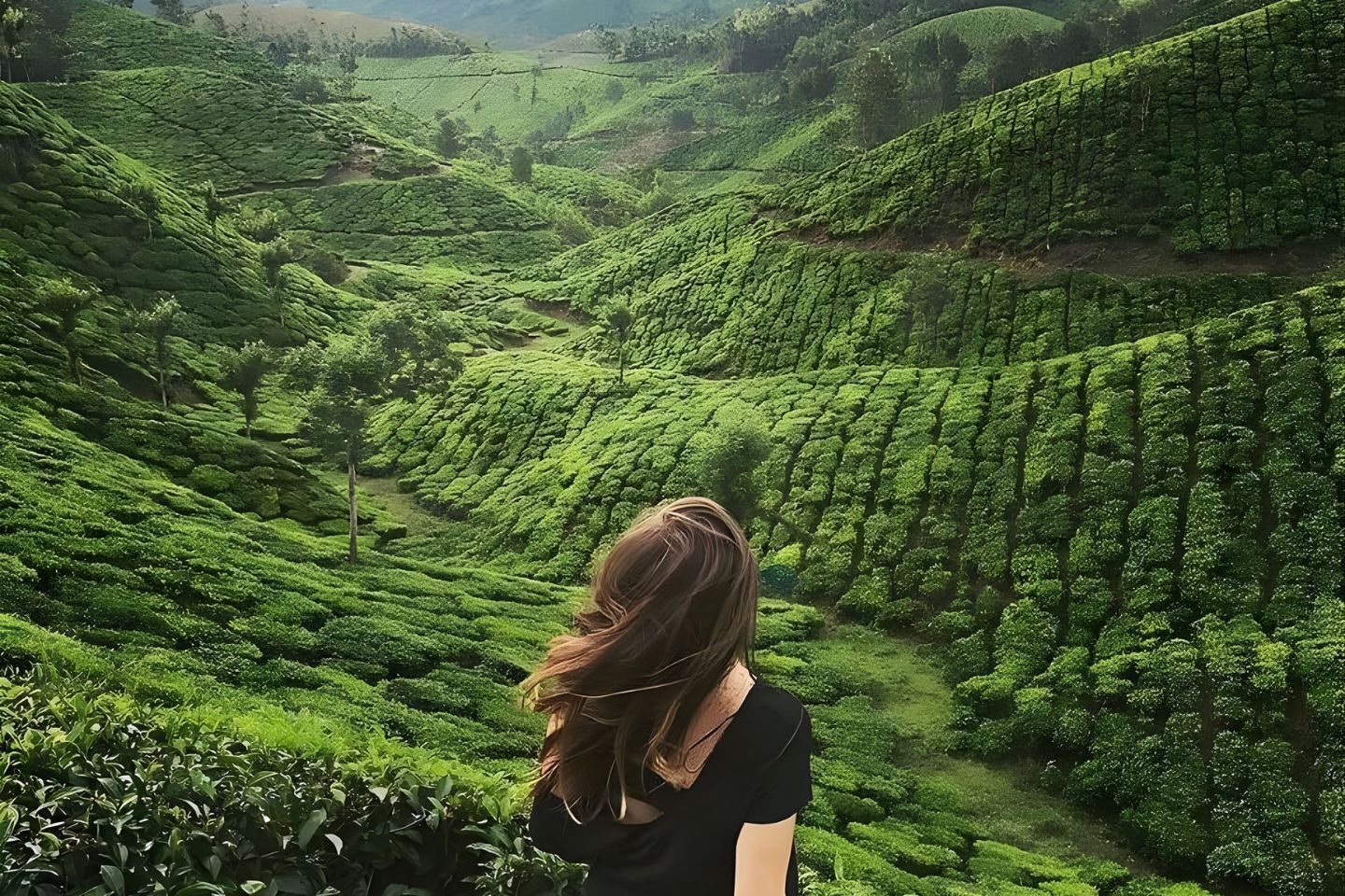 Bangalore to Kodaikanal, Distance Route Map from Bangalore to Kodaikanal