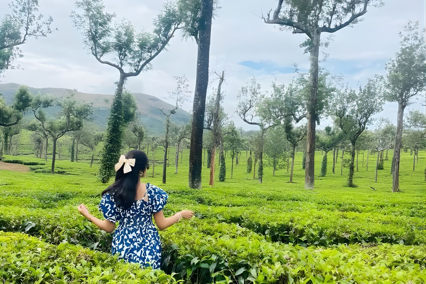 Trivandrum to Kodaikanal: Distance, Route, Map