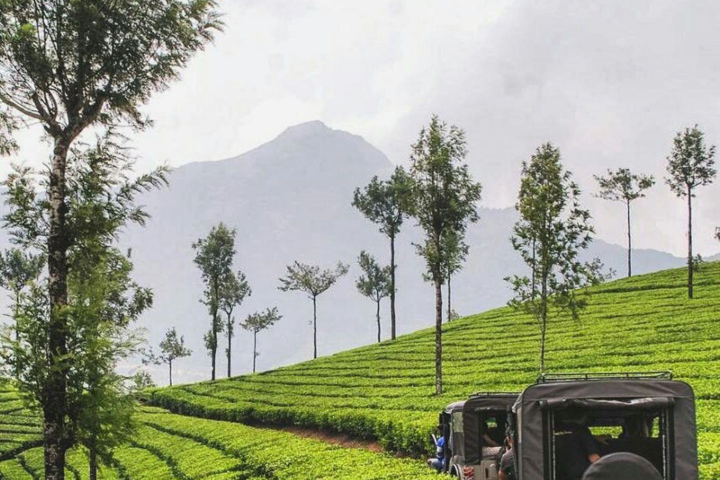 Ooty and Kodaikanal Compare