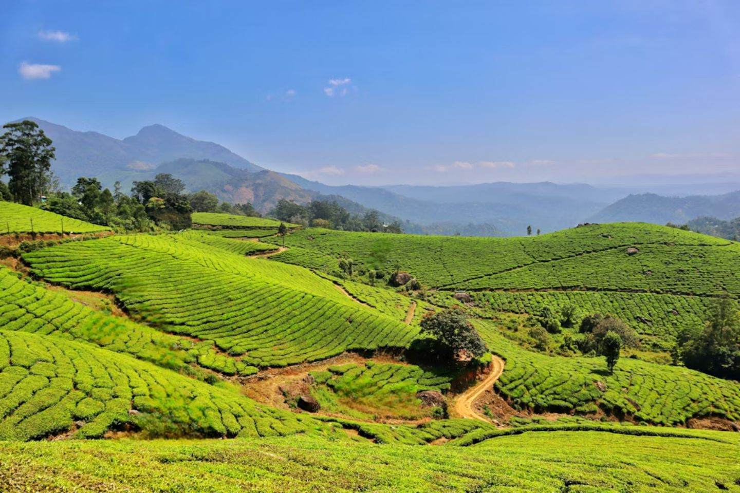 Chennai to Kodaikanal Tour Packages with Price & Itinerary, Kodaikanal Package from Chennai