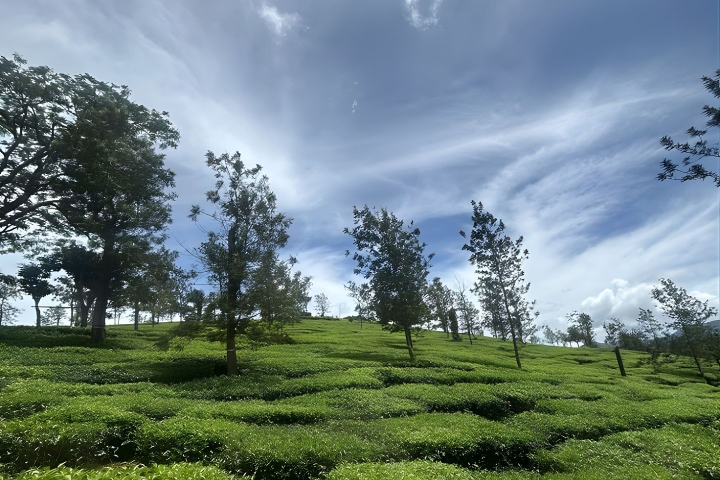 Tourist Places in Kodaikanal