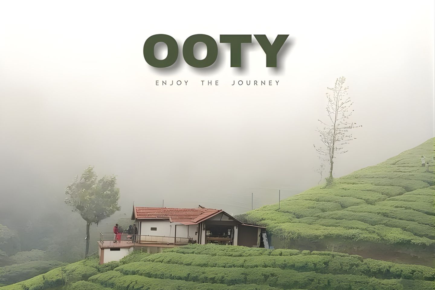 Ooty Kodaikanal Package, Ooty Kodaikanal Tour Package