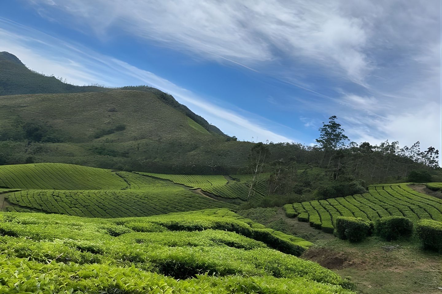 Bangalore Ooty Kodaikanal
