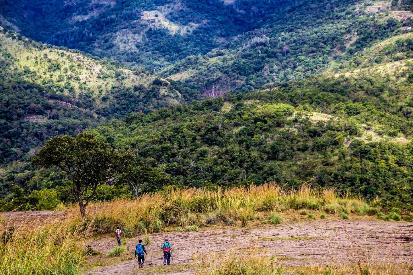 Trekking at Kodaikanal