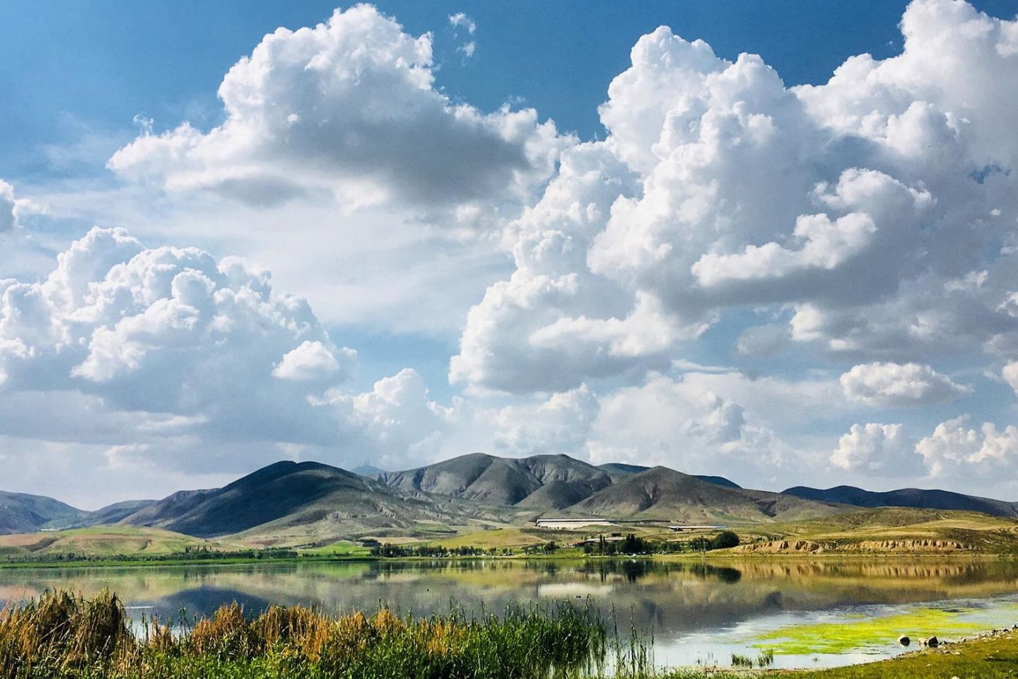 Weather in Kodaikanal