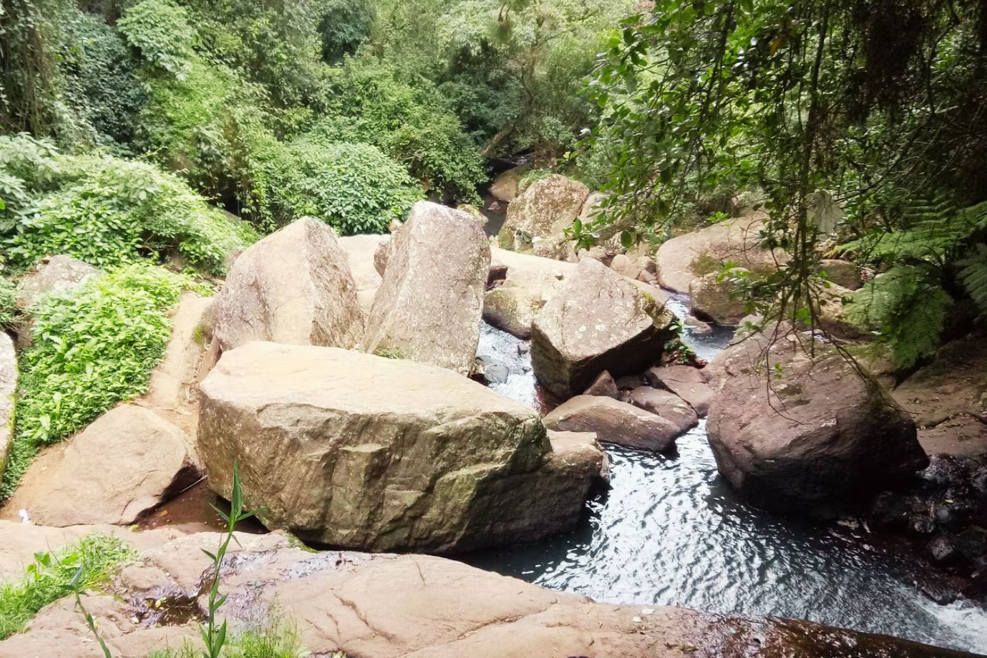 Places to Visit Kodaikanal Lions cave, Kodaikanal
