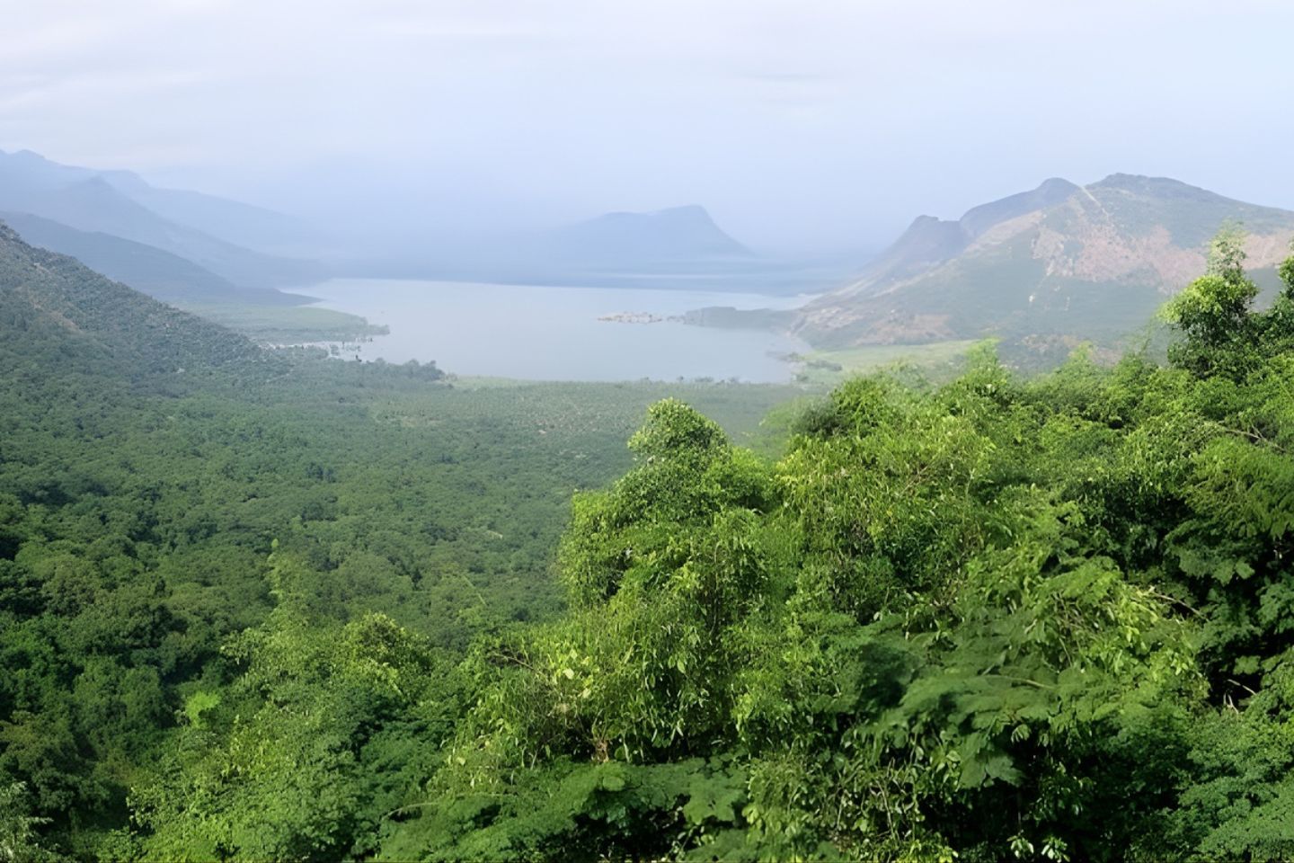 Vembadi Peak Kodaikanal